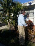 Prevent Pests and Rodents with Regularly Scheduled Pest Control Prevention Treatment in Dunedin, FL