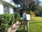 Pest Control Prevention Treatment to Prevent Pests and Rodents in Your Home for Dunedin, FL